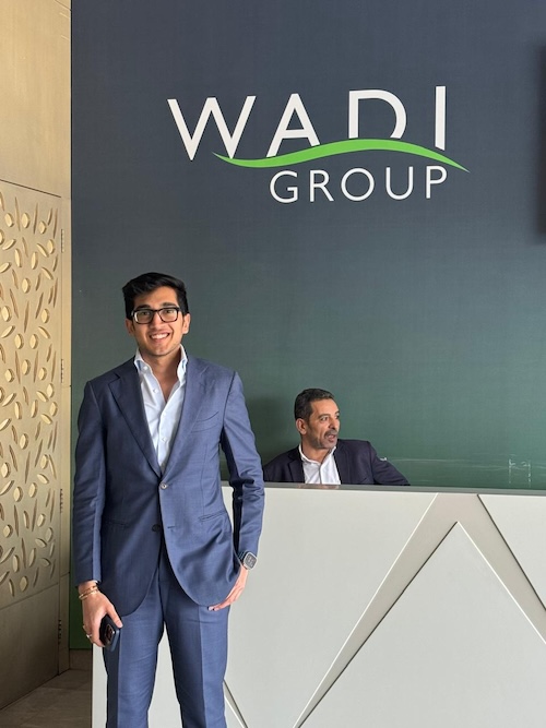Wadi Group — Egypt